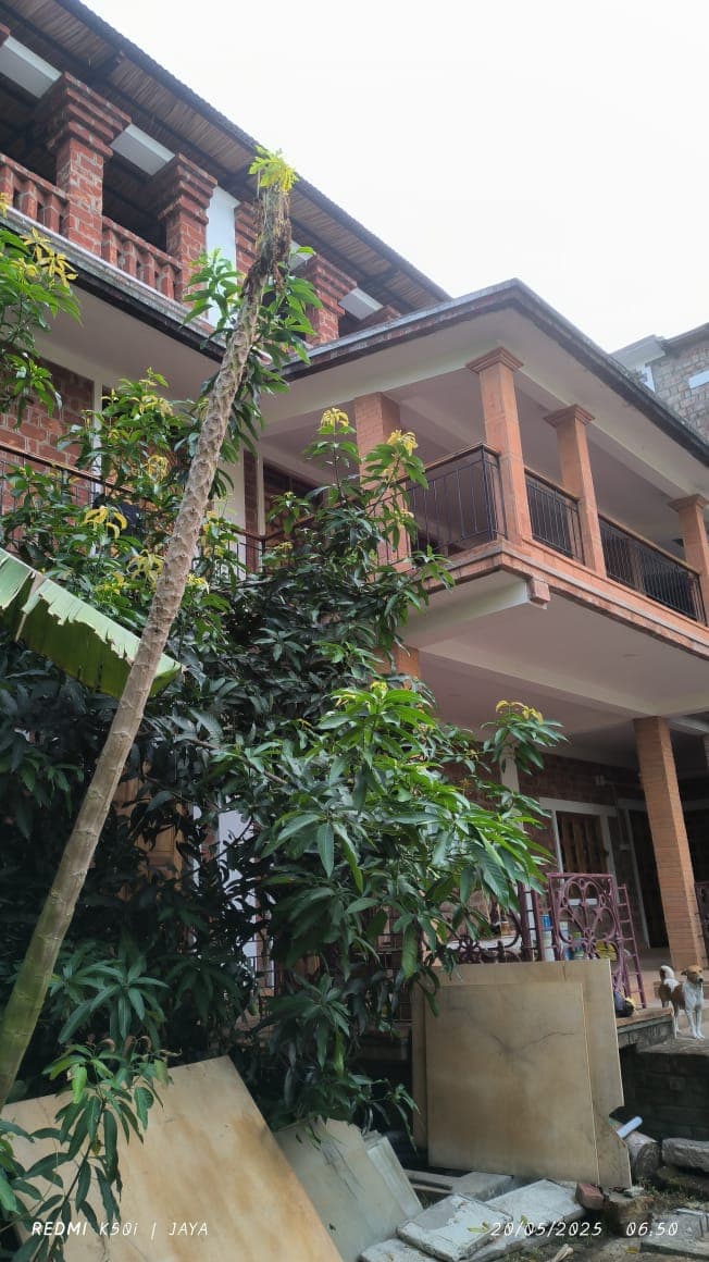 The exterior of a rustic cottage