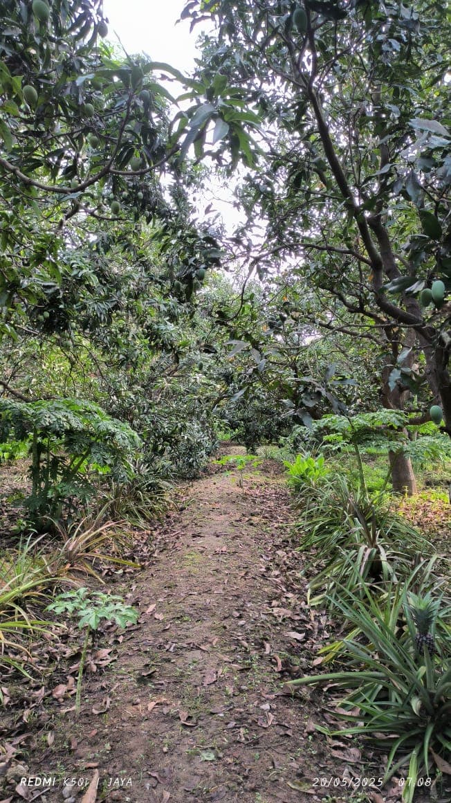 A cozy room in the homestay